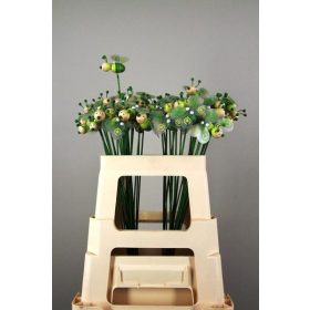 Tavaszi Méhecskés betűző - Zöld 6x50 cm