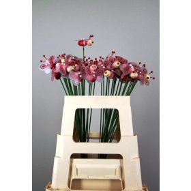 Tavaszi Méhecskés betűző - Piros 6x50 cm