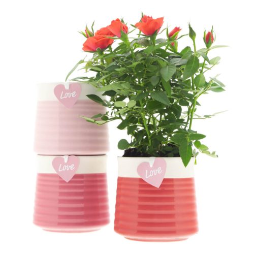 Promiss Love kerámai kaspó - 3 színben 11x9 cm