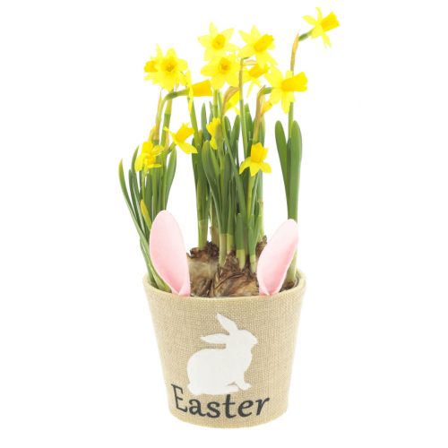 Nyuszi Füles Vászon kaspó vízhatlan - Barna 13x12 cm