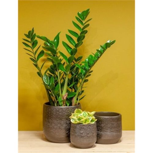 Noor Industrial kerámia tál - Antracit 29x14 cm