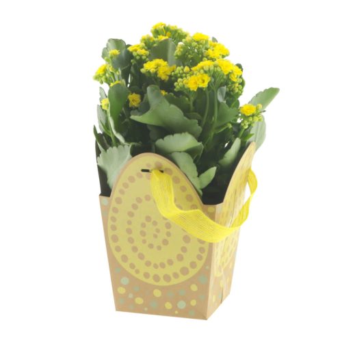 Szallagos Tojás mintás papír táska - Sárga 12x10x12 cm