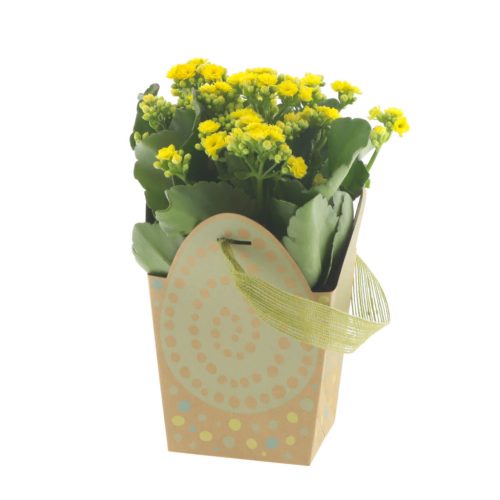 Szallagos Tojás mintás papír táska - Zöld 12x10x12 cm