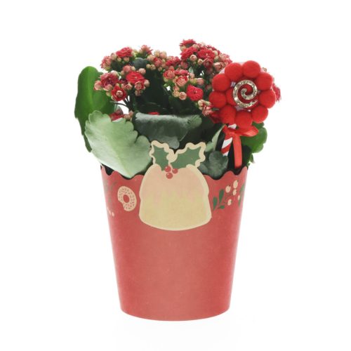 Tasty Christmas papír display - Piros 13x12 cm