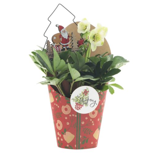 Tasty Christmas papír display - Piros 10x15 cm