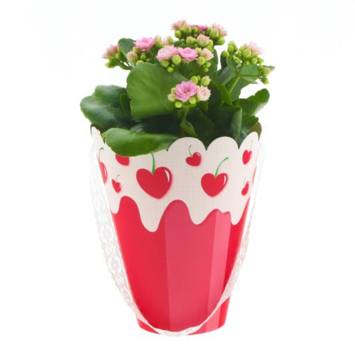 Cseresznyés növény box - Piros 15x8x18 cm