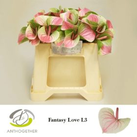 Anth Fantasy Love 30 cm